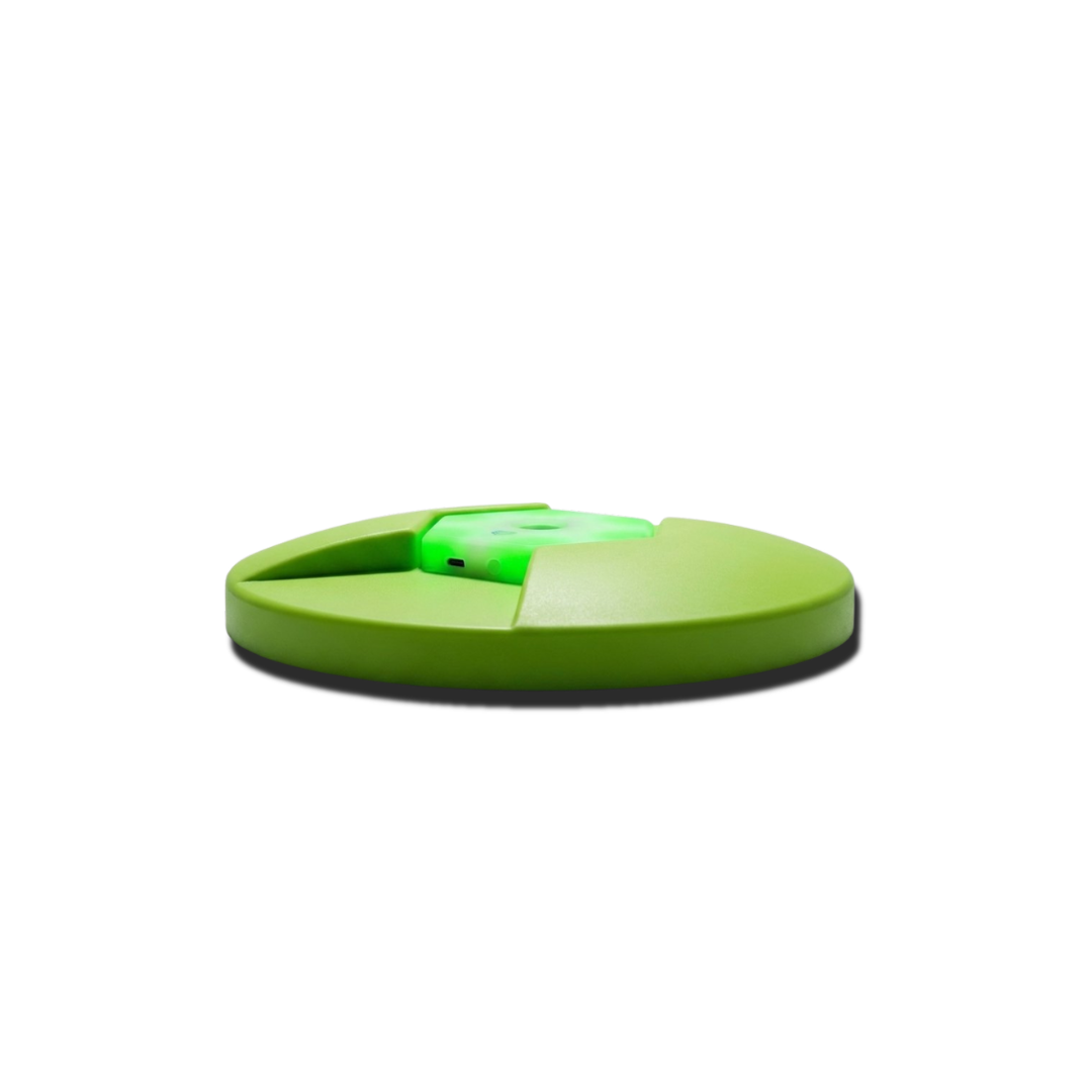 Weighted Reaction Light Base Pair